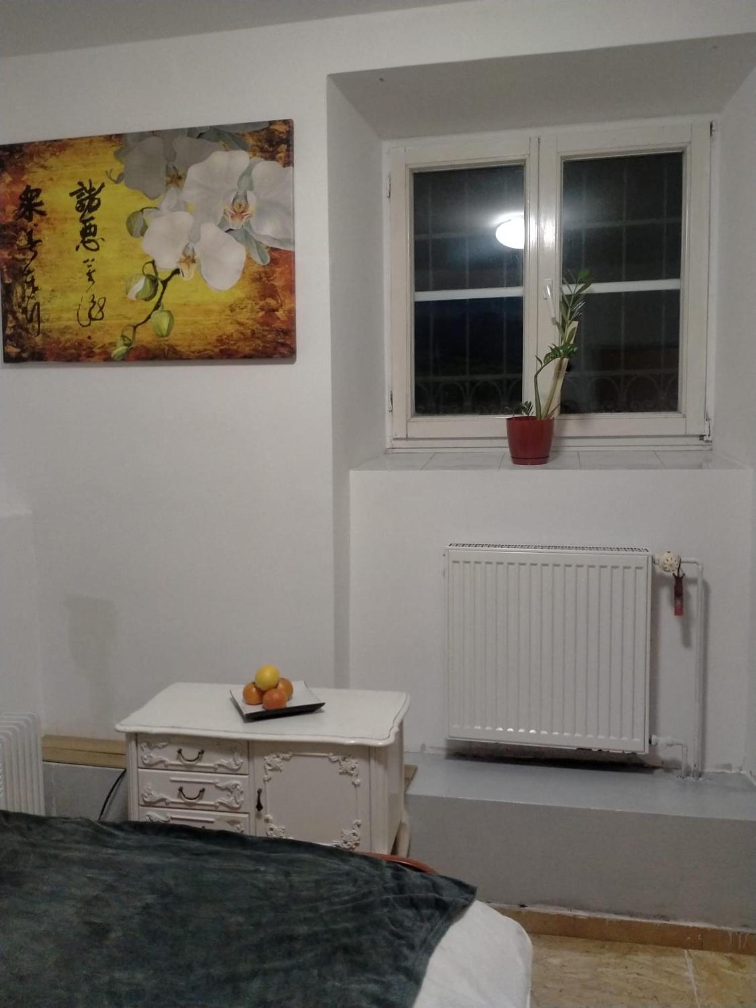Lemon Tree Hostel كراكوفيا المظهر الخارجي الصورة