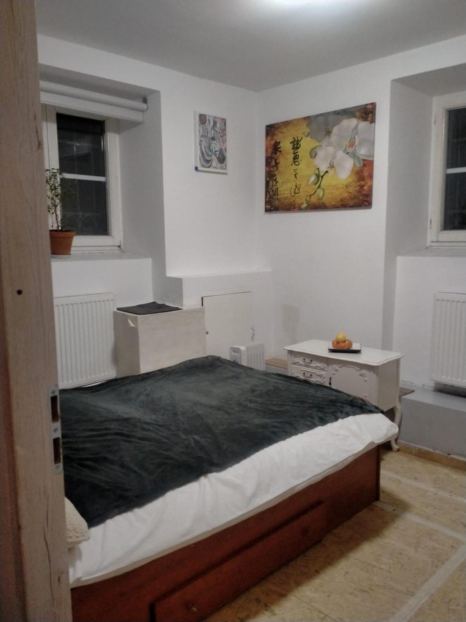 Lemon Tree Hostel كراكوفيا المظهر الخارجي الصورة
